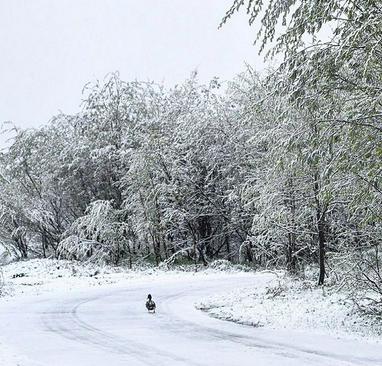 بارش برف تابستانی در شهر مورمانسک در سیبری روسیه