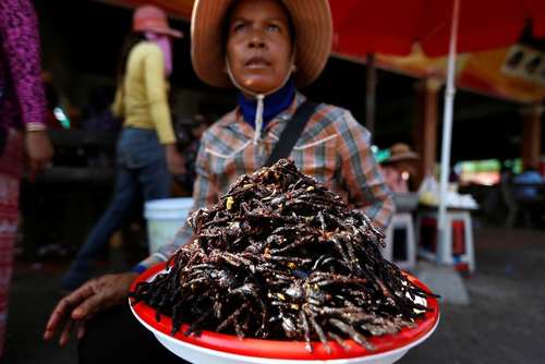 فروش رُتِیل سرخ شده در بازاری در کامبوج