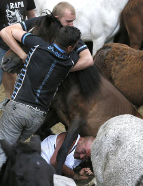 جشنواره اسب های وحشی - اسپانیا