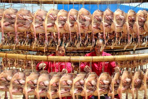 کارخانه شور کردن اردک در شهر جیان چین