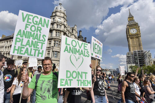 تظاهرات فعالان حقوق حیوانات در لندن
