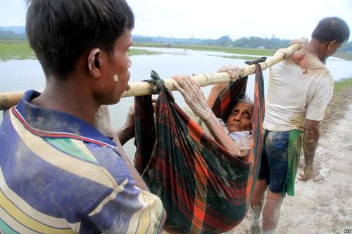 پناهجویان مسلمان میانماری در حال ورود به مرز بنگلادش