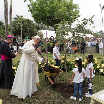 کاشت نهال درخت در جریان سفر پاپ فرانسیس به کشور کلمبیا