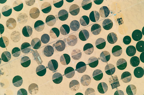 عکسی فضایی از زمین های کشاورزی بزرگ در صحرای جنوب شرقی مصر