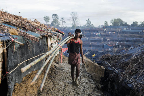 پناهجویان مسلمان میانماری در بنگلادش در حال ساخت خانه های خود در اردوگاه آوارگان