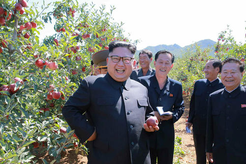 بازدید رهبر کره شمالی از یک مجتمع کشاورزی و باغداری در این کشور / عکس: روزنامه 