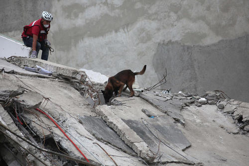 عملیات امداد و نجات در خرابه های بر جای مانده از زلزله اخیر شهر مکزیکوسیتی