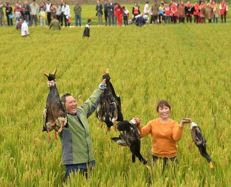 شکار اردک برای خوراک تعطیلات روز ملی چین