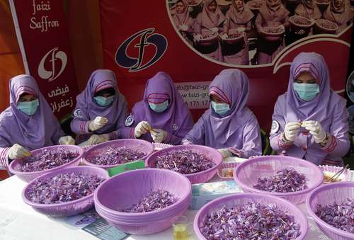 جشنواره سالانه زعفران در هرات افغانستان