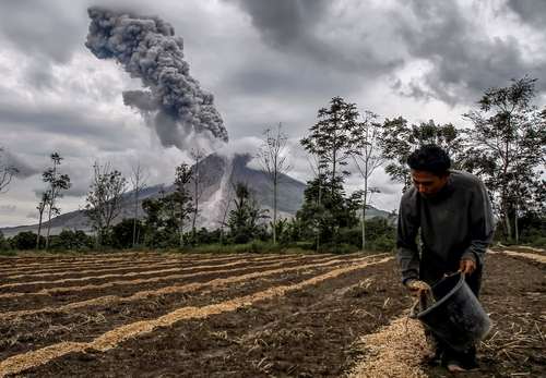 کشاورزی در کنار کوه آتشفشانی – سوماترا اندونزی