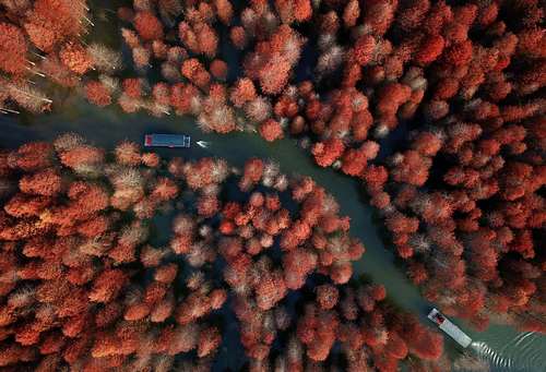 عکسی هوایی از پارک جنگلی گینگلونگ وان در چین