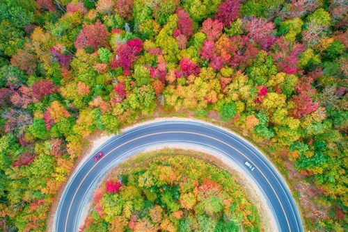 طبیعت پاییزی – جنگلی اطراف بزرگراه 