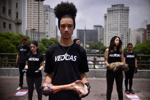 گردهمایی گیاه خواران برزیلی با اندام حیوانات مختلف در روز جهانی حقوق حیوانات - سائوپائولو