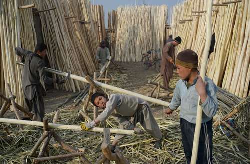 تراش دادن الوار چوب در مزارشریف افغانستان