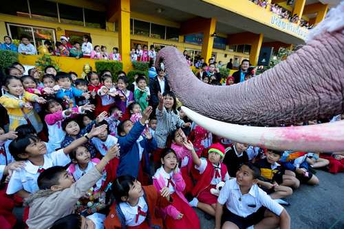 دانش آموزان در حال دریافت هدیه از فیل – تایلند