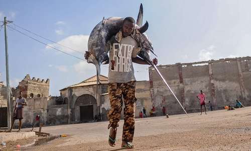 صیاد سومالیایی در حال حمل اره ماهی صید شده – موگادیشو/ عکس: خبرگزاری فرانسه