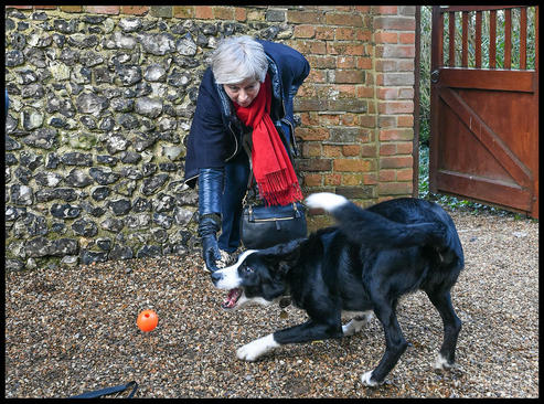 بازی نخست‌وزیر بریتانیا با سگش پس از حضور در مراسم آخر هفته کلیسا- لندن