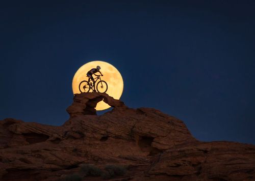 دوچرخه سواری در کوهستان 