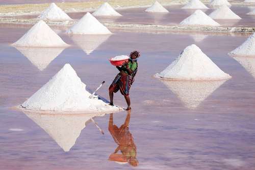 معدن نمک در راجستان هند- عکس: خبرگزاری فرانسه