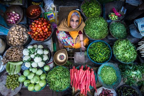 دست‌فروش میوه و سبزی در راجستان هند- عکس روز وب سایت 