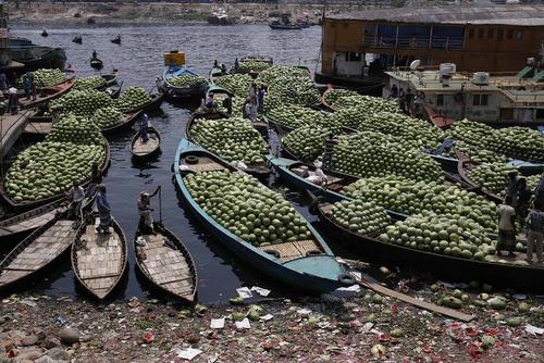 هندوانه‌های برداشت شده آماده تخلیه از قایق‌های کوچک چوبی در کرانه رود 
