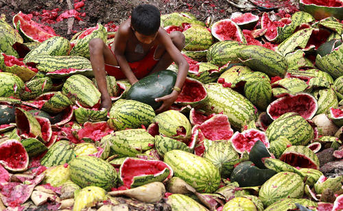 کودک بنگلادشی در حال برداشتن هندوانه از دورریزهای بازار میوه و سبزیجات در شهر داکا