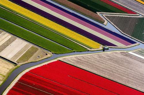 زمین‌های گل در هلند/ عکس:EPA