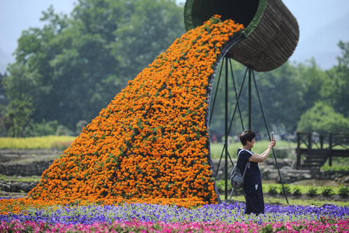 جشنواره گل در هانگژو چین