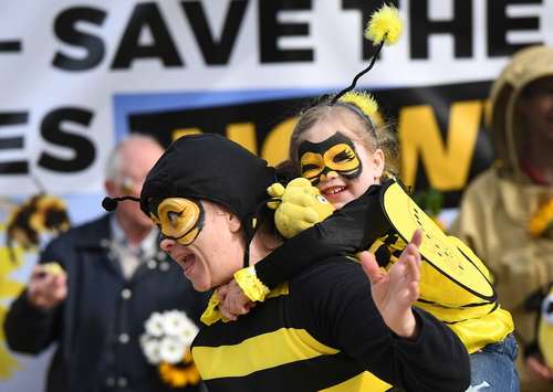 گردهمایی فعالان در مقابل ساختمان کمیسیون اروپا در شهر بروکسل برای محافظت از جمعیت زنبورها در کشورهای اروپایی و تصویب ممنوعیت کامل استفاده از آفت کش‌های گیاهی
