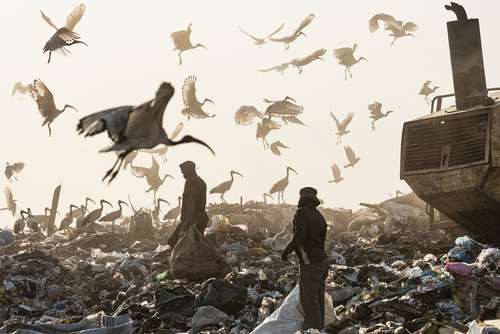 زباله‌دانی شهر ژوهانسبورگ آفریقای جنوبی