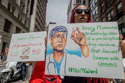 تظاهرات سالانه حامیان قانونی شدن مصرف ماریجوانا و حشیش در شهر نیویورک آمریکا