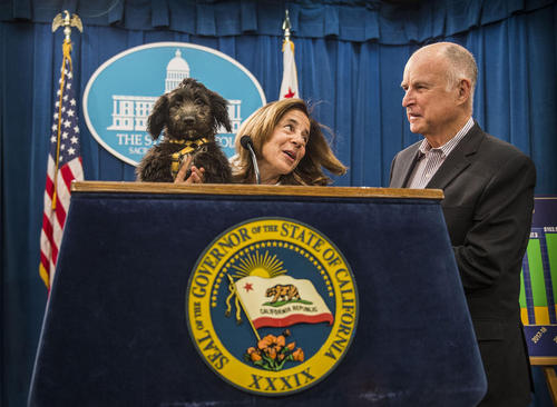حضور سگ فرماندار ایالت کالیفرنیا در نشست خبری اعلام بودجه سالانه این ایالت 