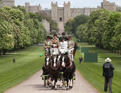 نمایش سالانه اسب سلطنتی در قلعه وینسور بریتانیا