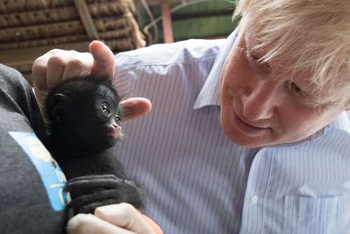 بازدید وزیر امور خارجه بریتانیا از یک مرکز نجات حیوانات در پرو