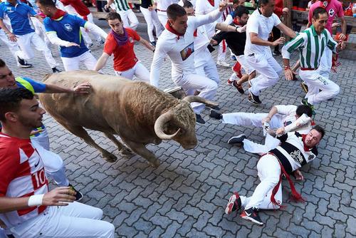 جشنواره سالانه گاو بازی 