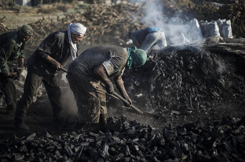 کارخانه تولید زغال چوب در باریکه غزه/ قدس نت