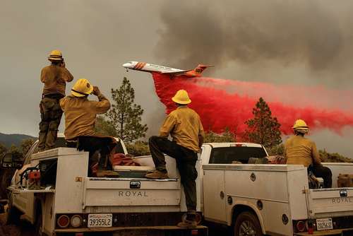 تلاش برای خاموش کردن آتش سوزی جنگلی در کالیفرنیا آمریکا / خبرگزاری فرانسه
