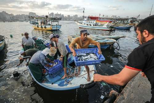 صید بیشتر ماهیگیران غزه‌ای پس از  تغییر دادن محدودیت 3 مایلی از ساحل برای ماهیگیران فلسطینی به 9 مایل از سوی اسراییل / خبرگزاری آناتولی