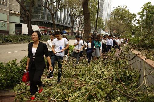 شکسته شدن شاخه‌های درختان در اثر توفان مهیب در هنگ کنگ