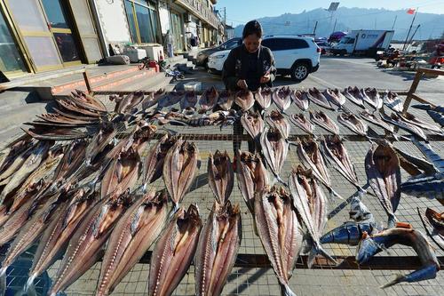 خشک کردن ماهی/چین