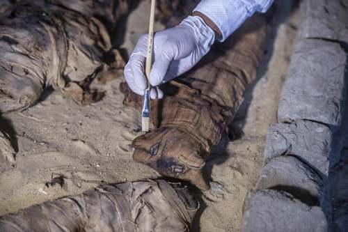 گربه های مومیایی شده در مقبره جدید کشف شده فراعنه در مصر/ خبرگزاری فرانسه