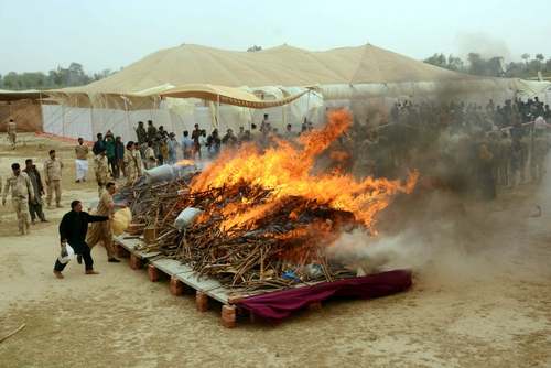 آتش زدن مواد مخدر در لاهور پاکستان/ شینهوا
