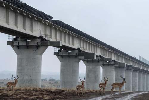 خط آهن عبور داده شده از روی پلی در پارک ملی کنیا / خبرگزاری فرانسه