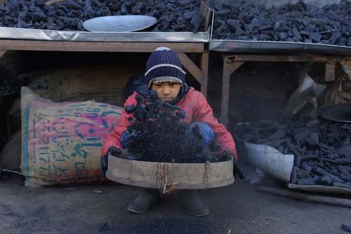 یک ذغال فروشی در هرات افغانستان/ خبرگزاری فرانسه