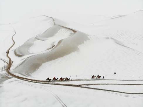 عبور کاروان شتر از کوهستان برفی- شمال چین