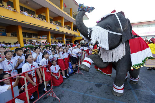 یک فیل در حال اهدای هدیه‌های کریسمس به کودکان / تایلند