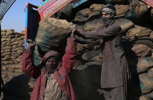 بازار ذغال در استان غزنی افغانستان/ شینهوا