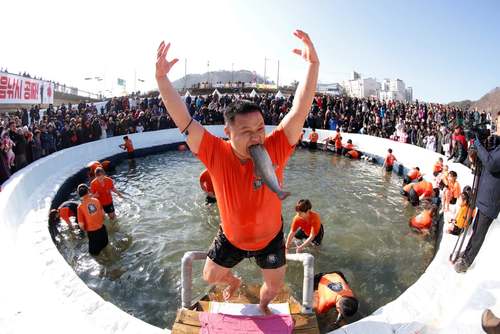شادمانی یک مرد کره ای از گرفتن یک ماهی با دست در جریان جشنواره یخ در 