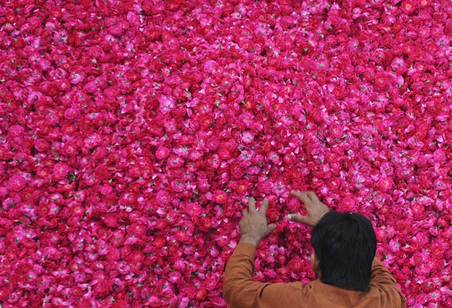 بازار گل در لاهور