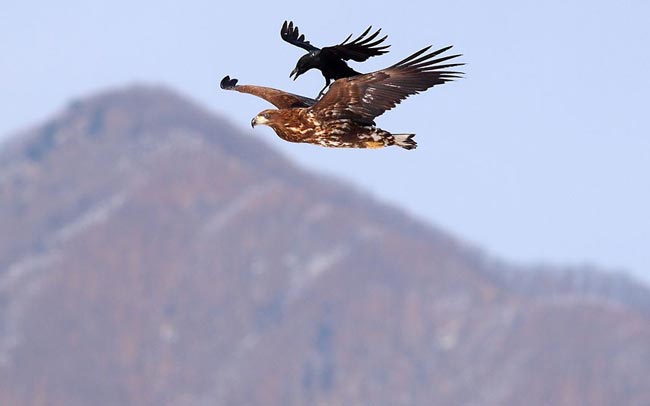 بدون شرح